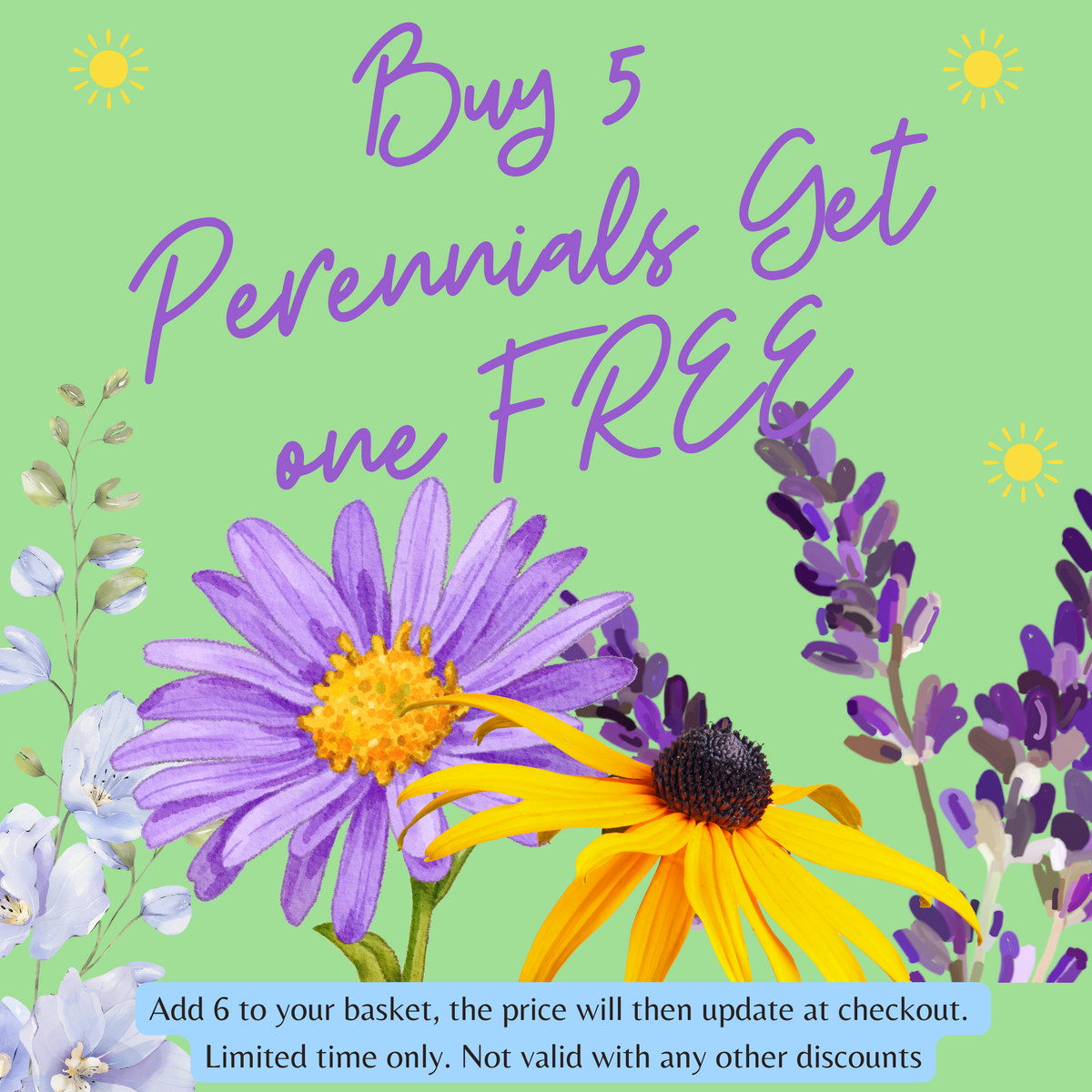 Colorful ad with illustrated purple and yellow flowers on a green background. Buy 5 Salvia &#39;Hot Lips&#39; 9cm/2L, get one FREE! Add 6 to your basket—discount applies at checkout. Limited time only. Not valid with other offers.
