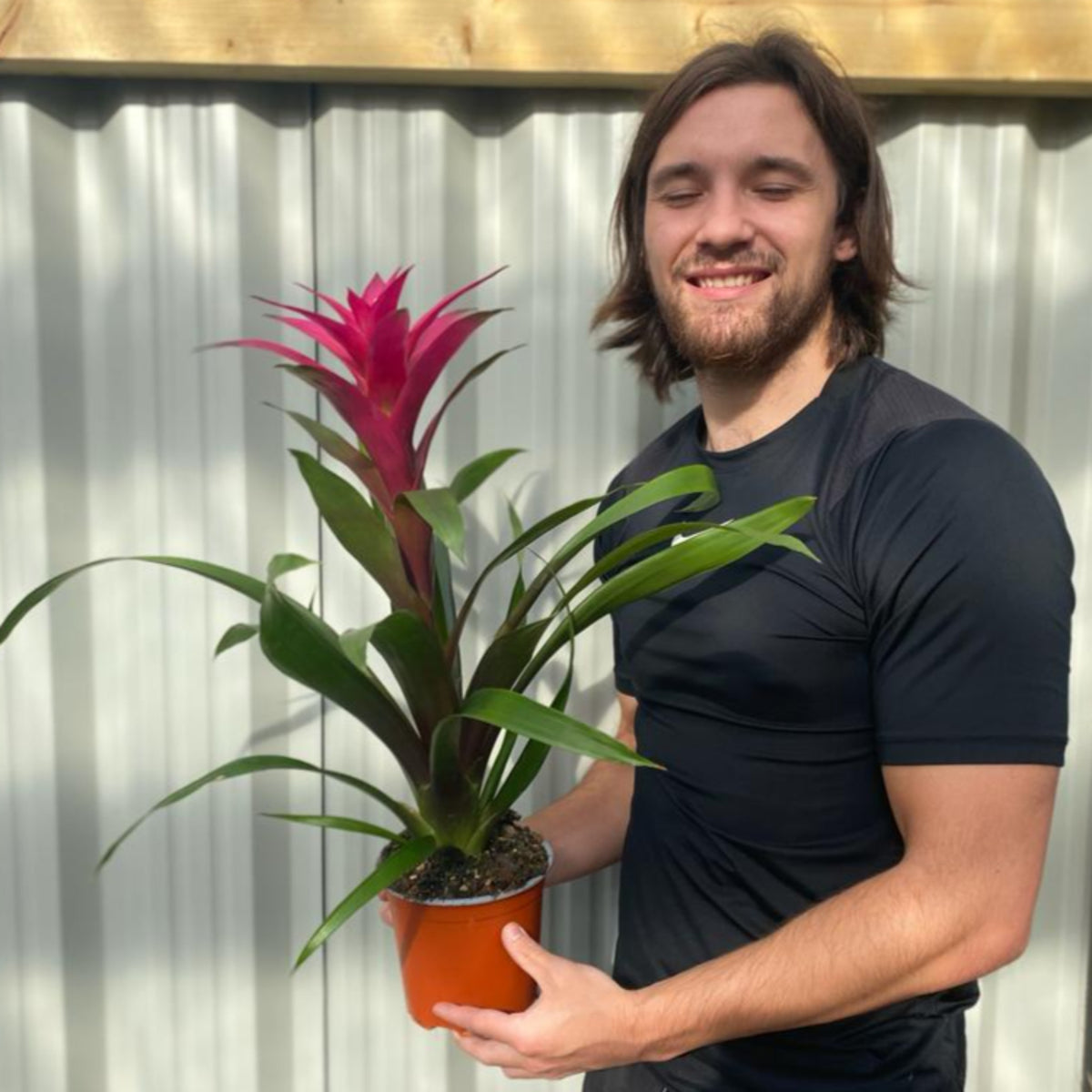 A man with long brown hair and a beard, wearing a black t-shirt, smiles while holding a Guzmania amaretto - Pink potted plant with green leaves and a tall, bright pink flower outdoors.