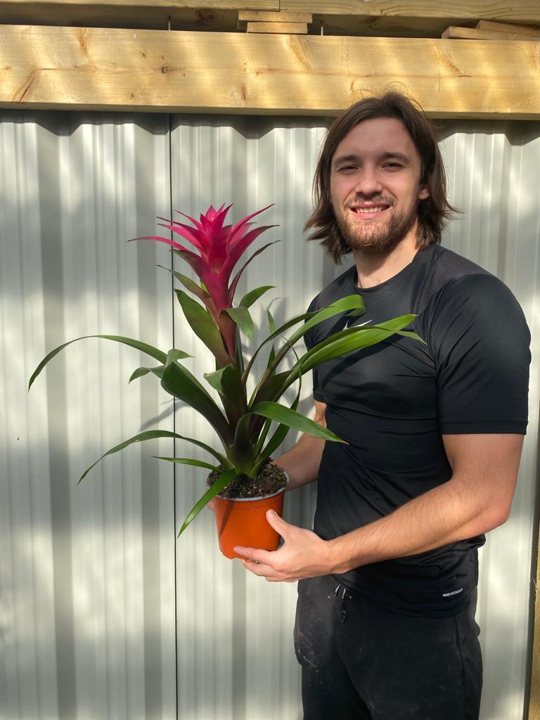 A man with long brown hair and a beard, in a black t-shirt, smiles outdoors at the camera while holding a Guzmania amaretto - Pink, an easy-care indoor plant with long green leaves and a tall pink flower in an orange pot.