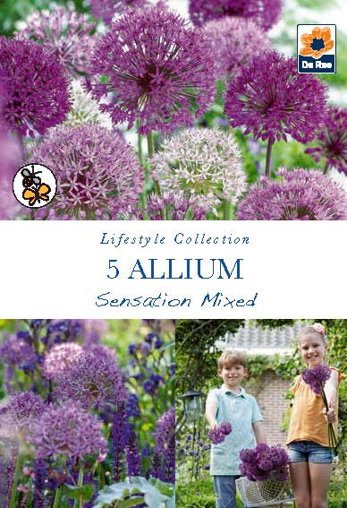 Allium 'Sensation Mixed' (5 Bulbs)