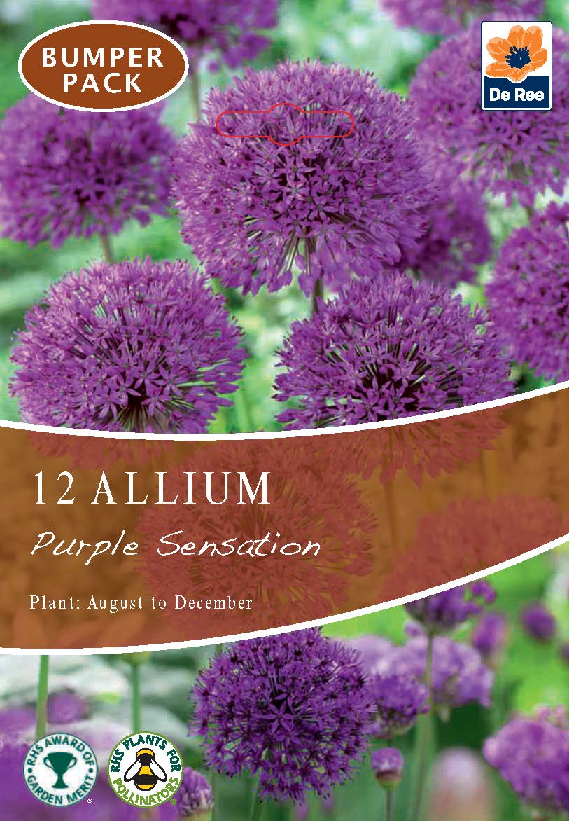 A plant label for Allium &#39;Purple Sensation&#39; (10 Bulbs), showing purple allium flowers. Text: 10 ALLIUM &#39;Purple Sensation&#39; bulbs. Plant: Aug–Dec. Includes award, pollinator-friendly icons, and the De Ree logo.