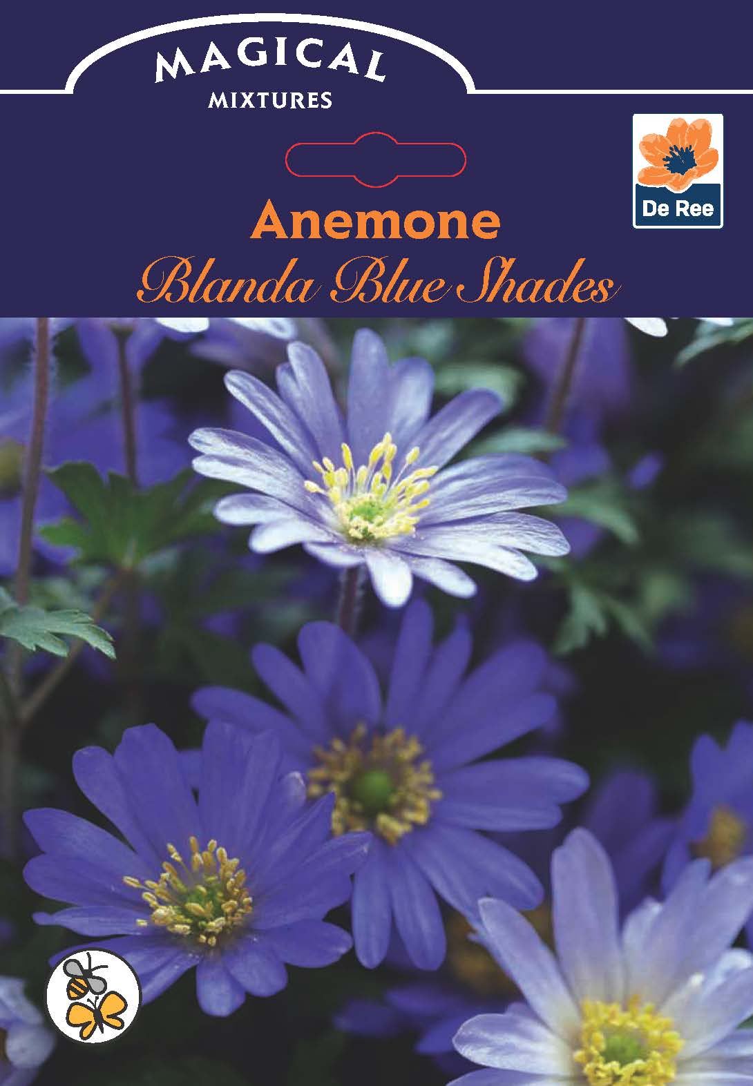 Anemone 'Blanda Blue Shades' (12 Bulbs) offers vibrant blue blooms with yellow centers and green foliage—a stunning, low-growing plant perfect for massing with other spring-flowering bulbs.