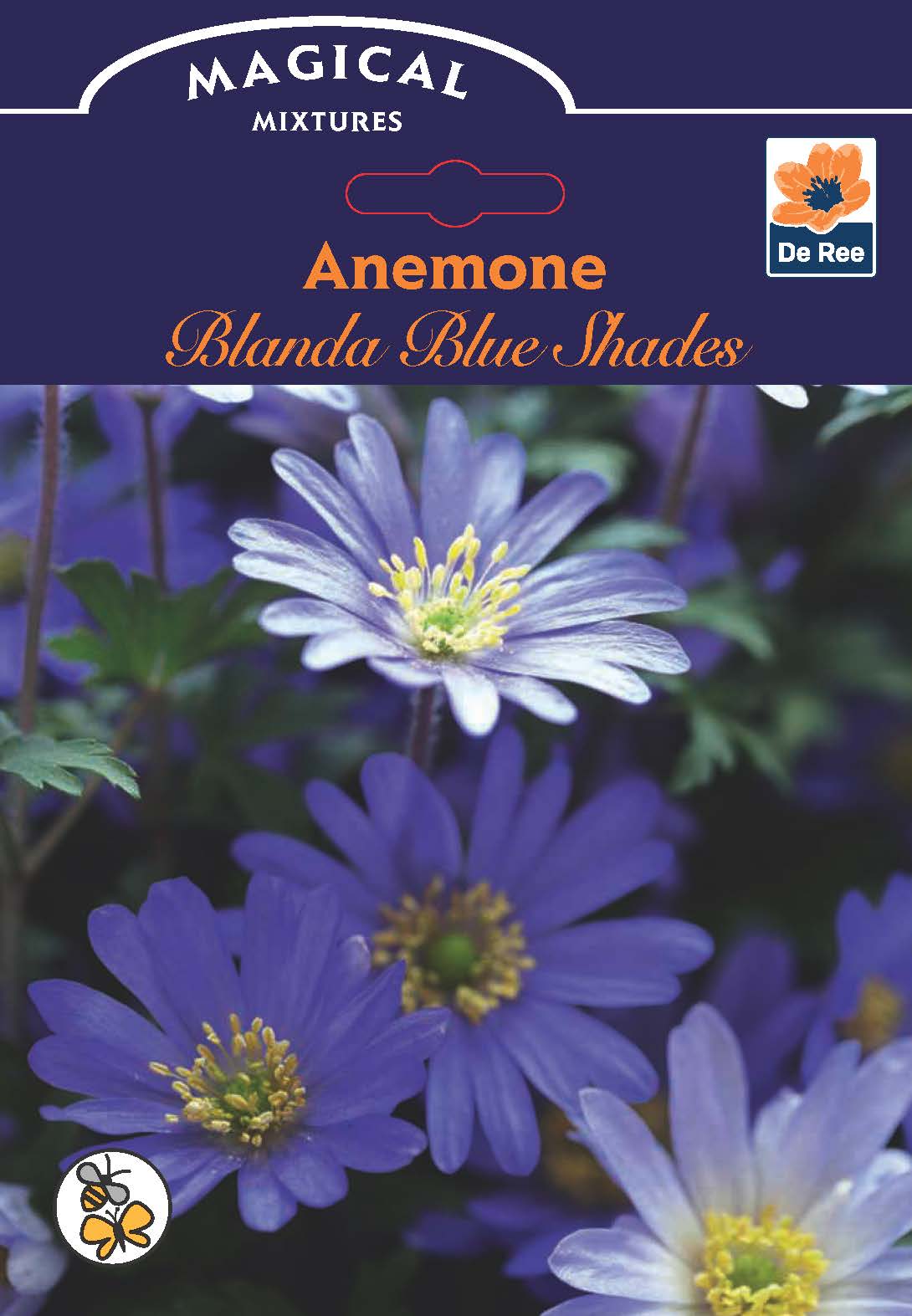 Anemone 'Blanda Blue Shades' (12 Bulbs)