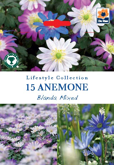 Anemone Blanda Mixed (15 Bulbs)