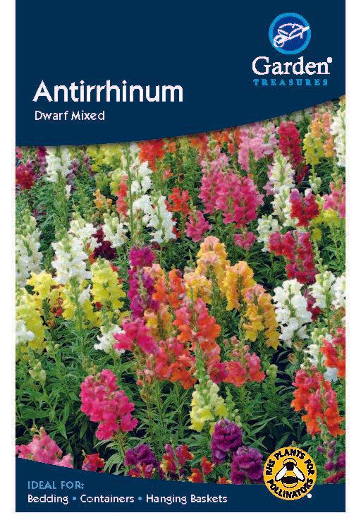 A packet of Antirrhinum Dwarf Mixed Seeds displays vibrant dwarf snapdragons in red, pink, yellow, orange, and white. Ideal as bedding flowers for containers and hanging baskets.