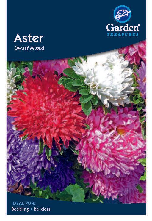Colorful asters in red, purple, pink, and white bloom from Aster Seeds by Garden Treasures. Perfect for bedding, borders, or cut flowers with their long-lasting blooms.