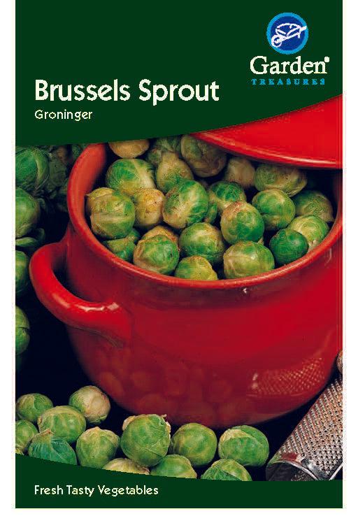 A packet labeled Brussels sprout Groninger shows a red pot with fresh sprouts spilling out and seed company branding, plus the text “Fresh Tasty Vegetables for a bountiful autumn harvest.”.