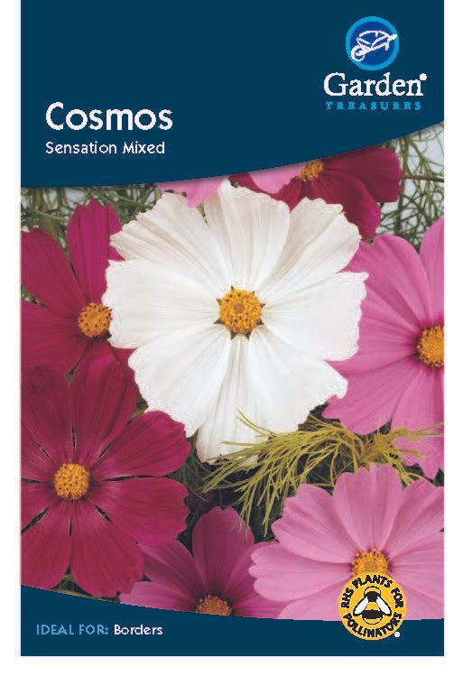 Cosmos Sensation Mixed Seeds produce fine foliage and vibrant pink, white, and magenta blooms with yellow centers. This half-hardy annual is bee-friendly, as shown by the Bee Plants for Pollinators badge on the pack.