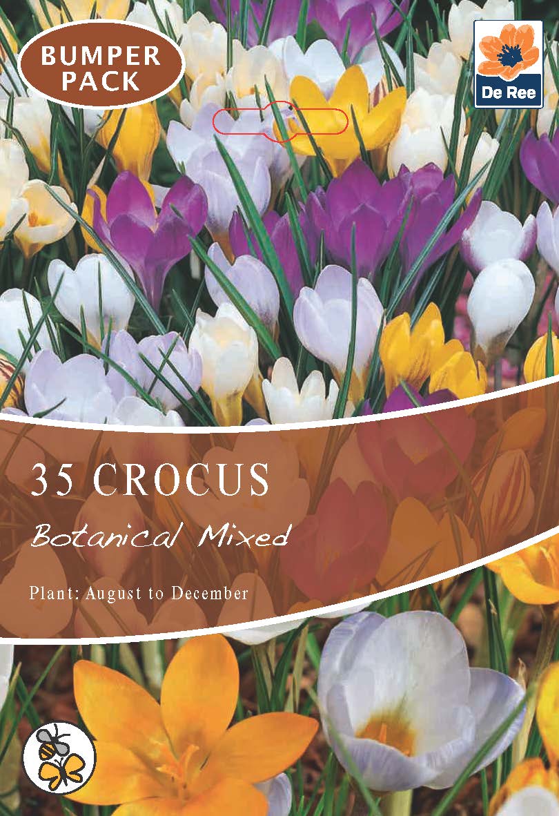 Crocus Botanical Mixed Bulbs (35 Bulbs)