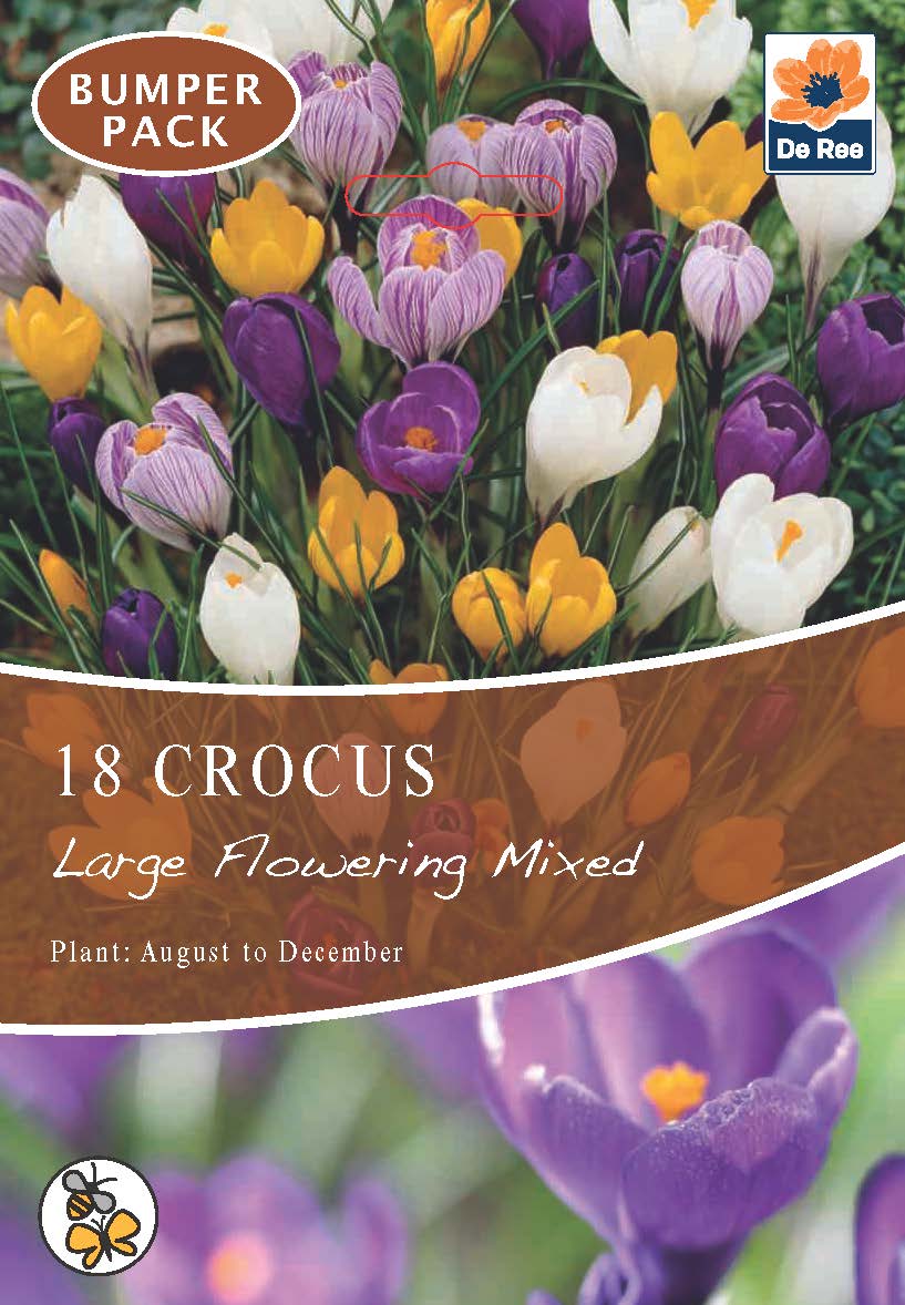 A vibrant mix of purple, yellow, and white Crocus bulbs—Crocus Large Flowering Mixed (15 Bulbs). Ideal for spring blooms; plant August–December. Features Bumper Pack sticker and De Ree logo on packaging.