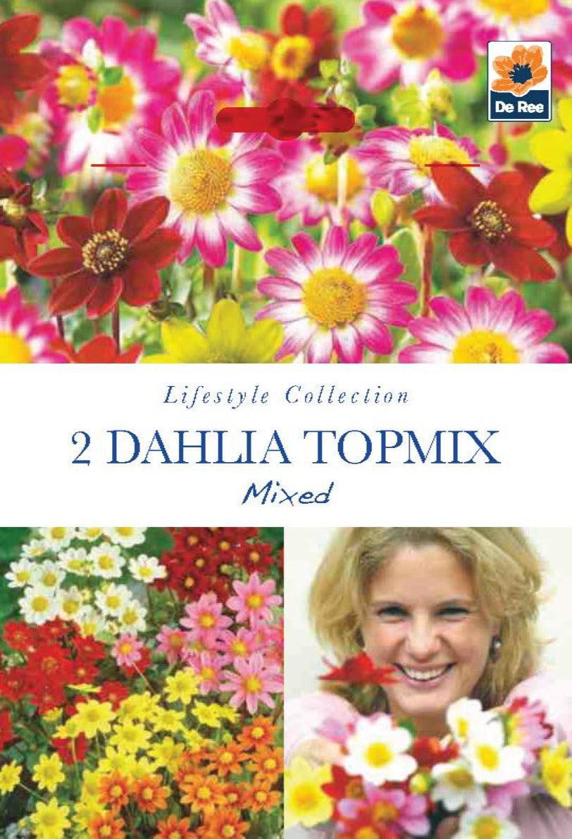 A smiling woman holds low-growing, vibrant red, pink, and yellow Dahlias. The pack is labeled &quot;Dahlia Topmix (2 Tubers)&quot; and features the De Ree logo in the top right corner.