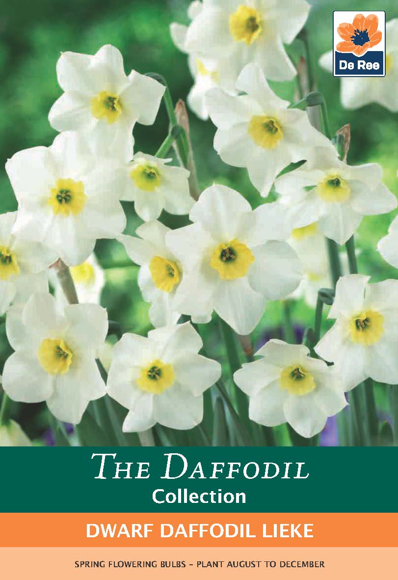 A garden package labeled “Dwarf Daffodil &#39;Lieke&#39; (5 Bulbs)” features white flowers with yellow centers, ideal for containers. Planting instructions are provided at the bottom.