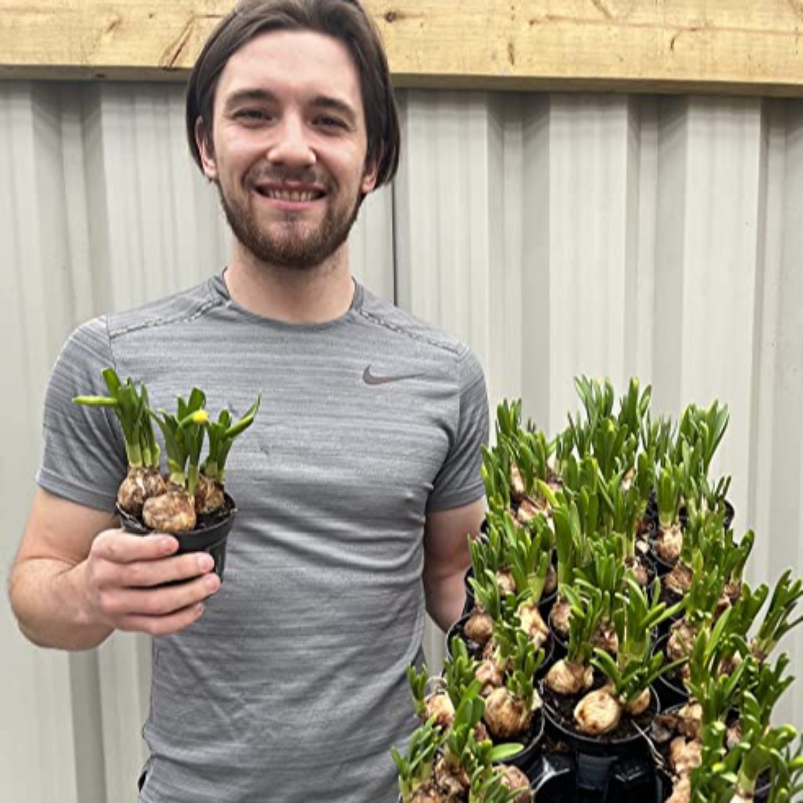 A man in a gray t-shirt smiles while holding a 9cm pot of Tete a Tete Daffodil Bulbs. Next to him is a tray with more of the bulbs in pots. They stand by a corrugated metal wall with a wooden beam above.