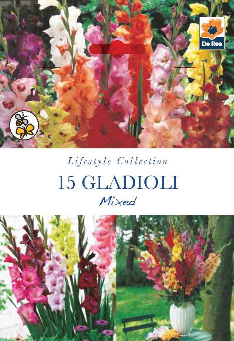 A packet labeled "Gladioli Bulbs | Mixed | 15 Bulbs" displays tall, colorful gladiolus flowers, perfect for summer blooms. A mixed gladioli bouquet sits on an outdoor table, with the De Ree logo in the top right corner.