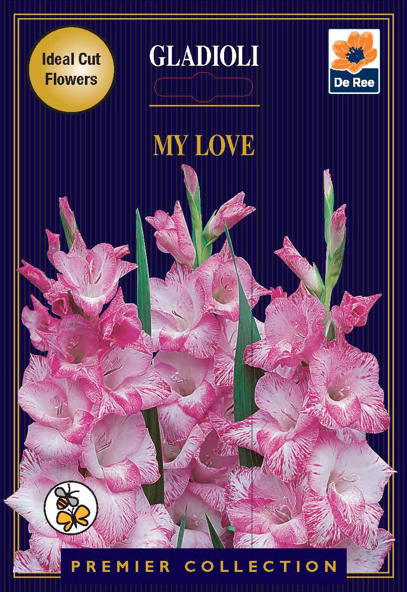 The Gladioli Bulbs | My Love | 10 Bulbs pack displays pink and white gladioli with green leaves. Featuring butterfly-attracting blooms, it's ideal for cut flowers. Includes a bee symbol and De Ree logo on a dark blue background.