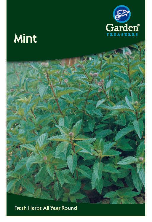 A packet of Mint Seeds from Garden Treasures displays vibrant mint plants, an adaptable herb ideal for pairing with lamb. The bottom text reads: Fresh Herbs All Year Round.