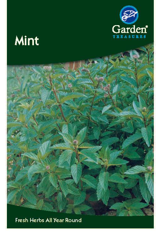 Mint Seeds