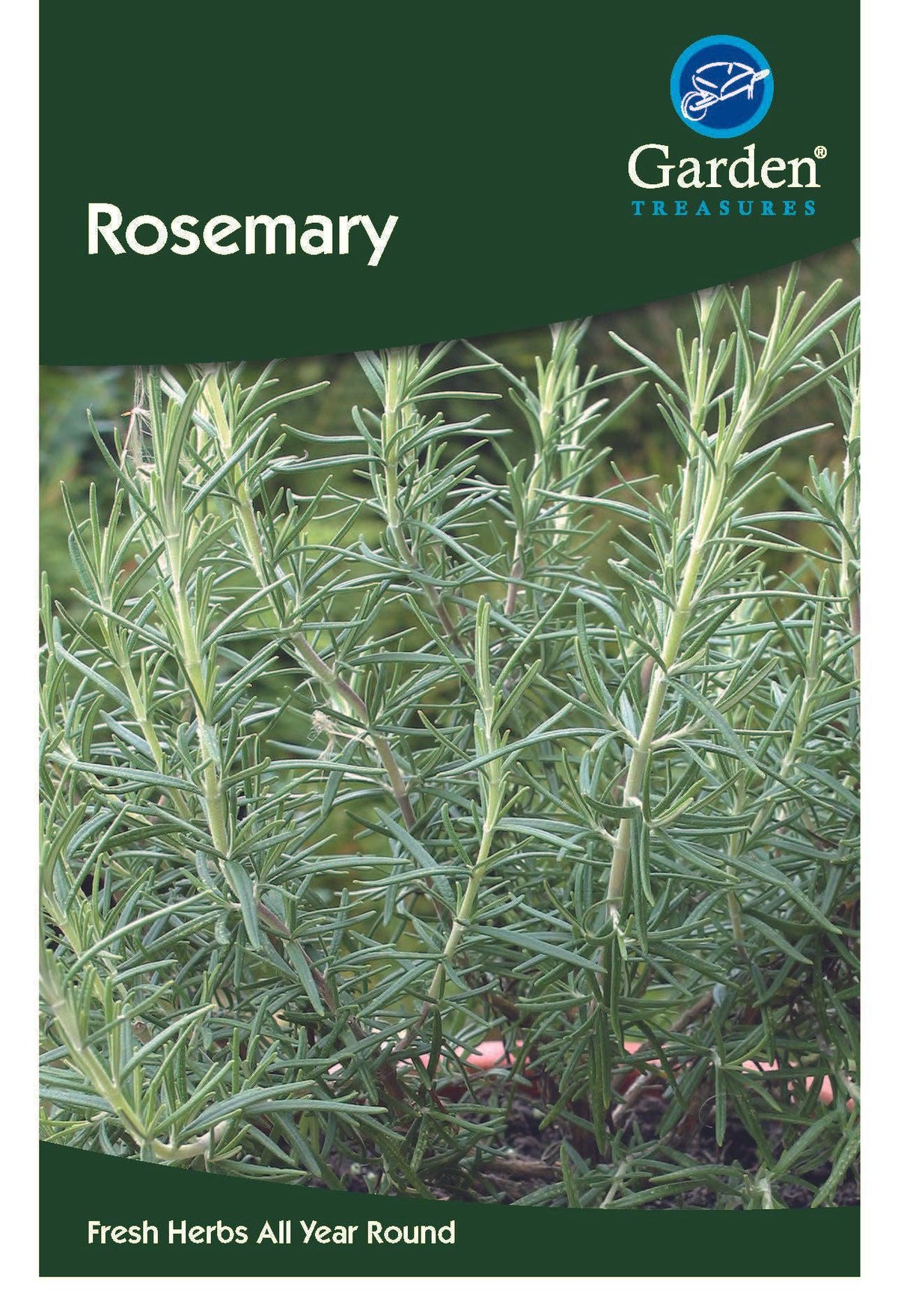 Packet of Rosemary Seeds featuring the Garden Treasures logo and a close-up of green, needle-like leaves. Labeled &quot;Fresh Herbs All Year Round&quot;—ideal for Mediterranean recipes or as a salad garnish.