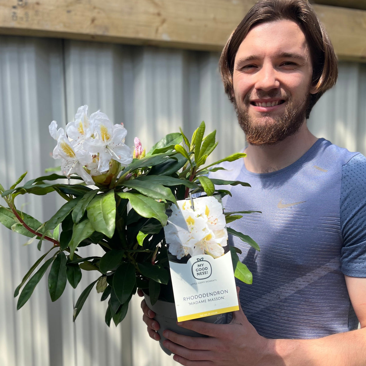 A bearded man in a blue shirt smiles while holding a potted Rhododendron &#39;Madame Masson&#39; 2L/5L with white flowers, standing outdoors near a fence.