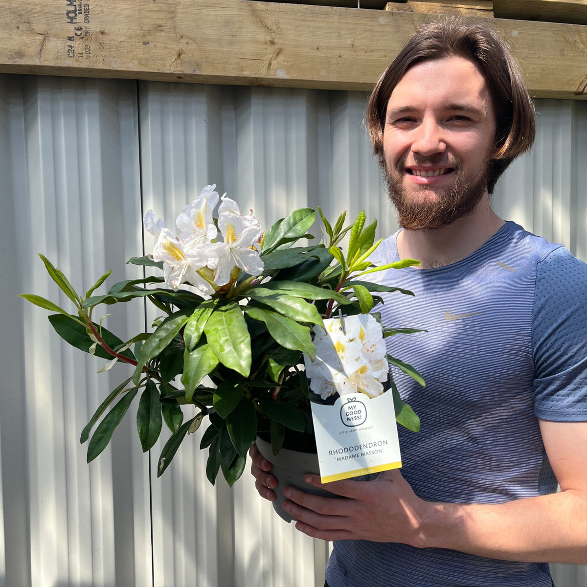A bearded man in a blue t-shirt smiles while holding a Rhododendron &#39;Madame Masson&#39; 2L/5L with pearl white flowers; a wooden fence and metal siding can be seen in the background.