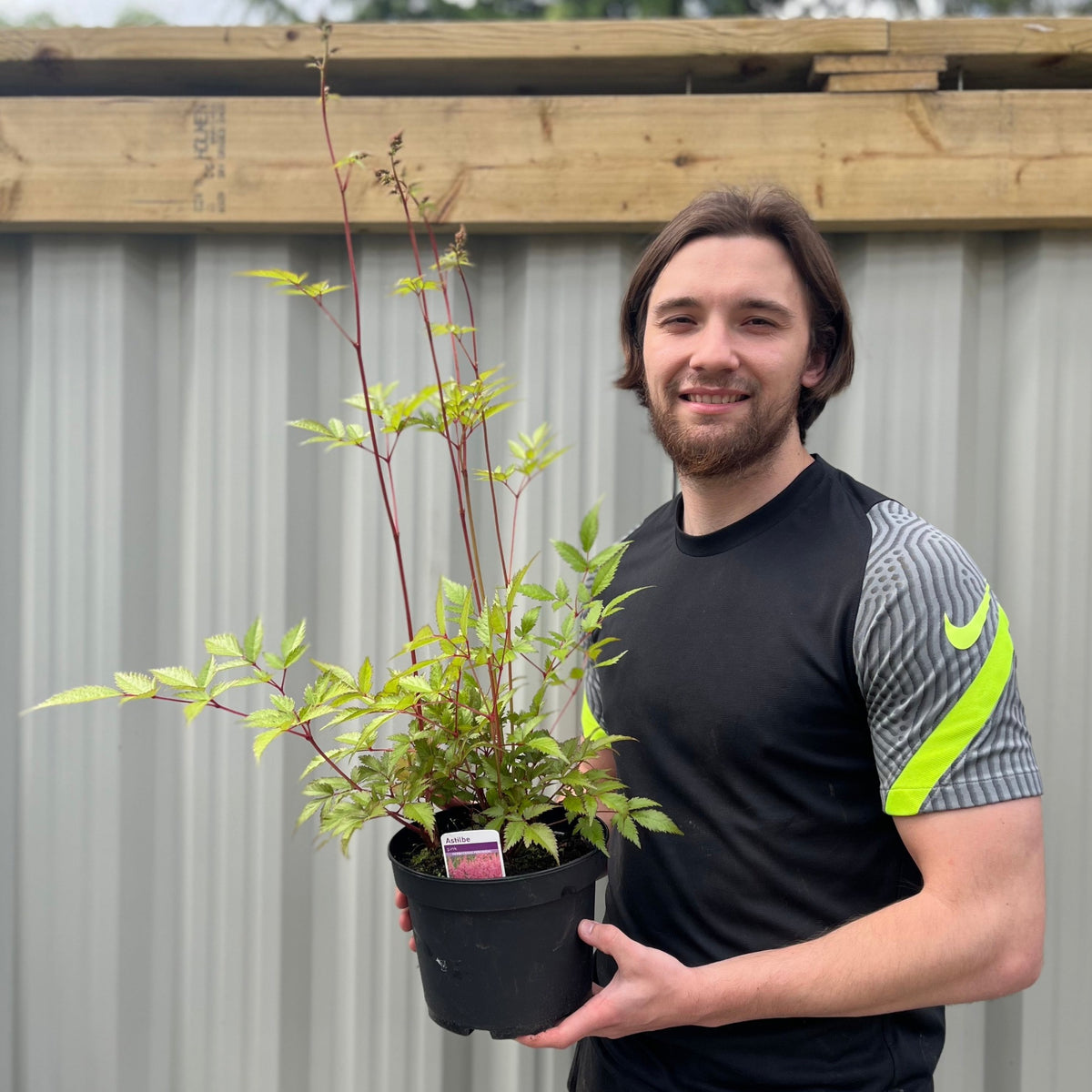 A smiling man with brown hair and a beard, in a black and gray Nike shirt, holds an Astilbe Pink 2L perennial—ideal for shade gardens—in front of a corrugated metal wall topped by a wooden beam.