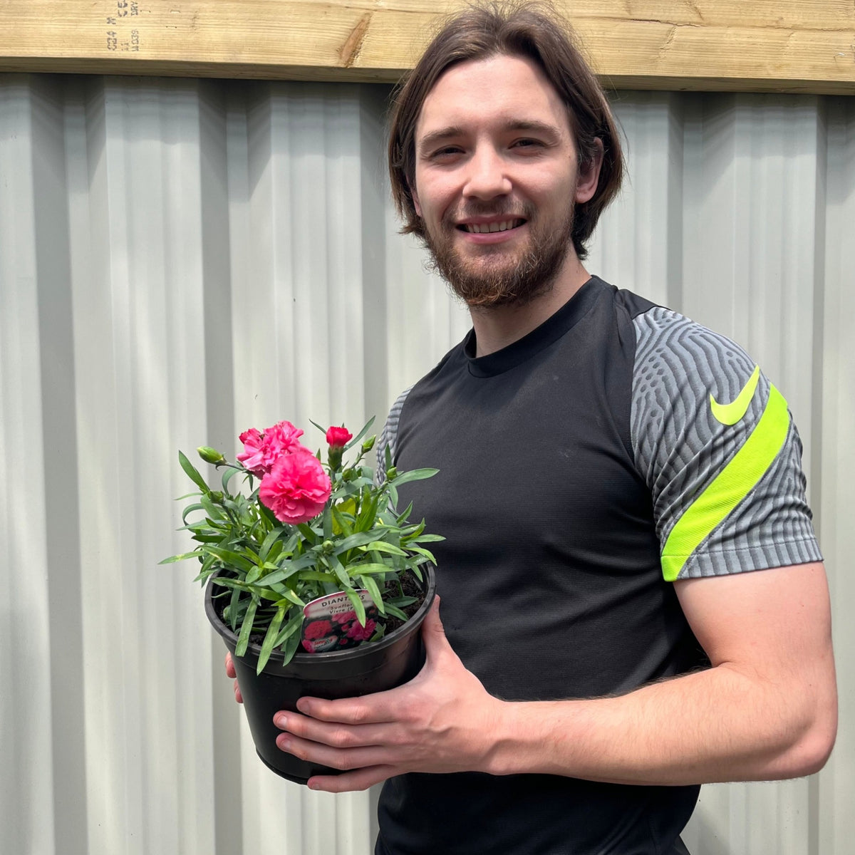 A young man with medium-length brown hair and a beard smiles as he holds a black pot of Dianthus (Sunflor Vivre) | Pink Dianthus 3L in front of a corrugated metal wall.