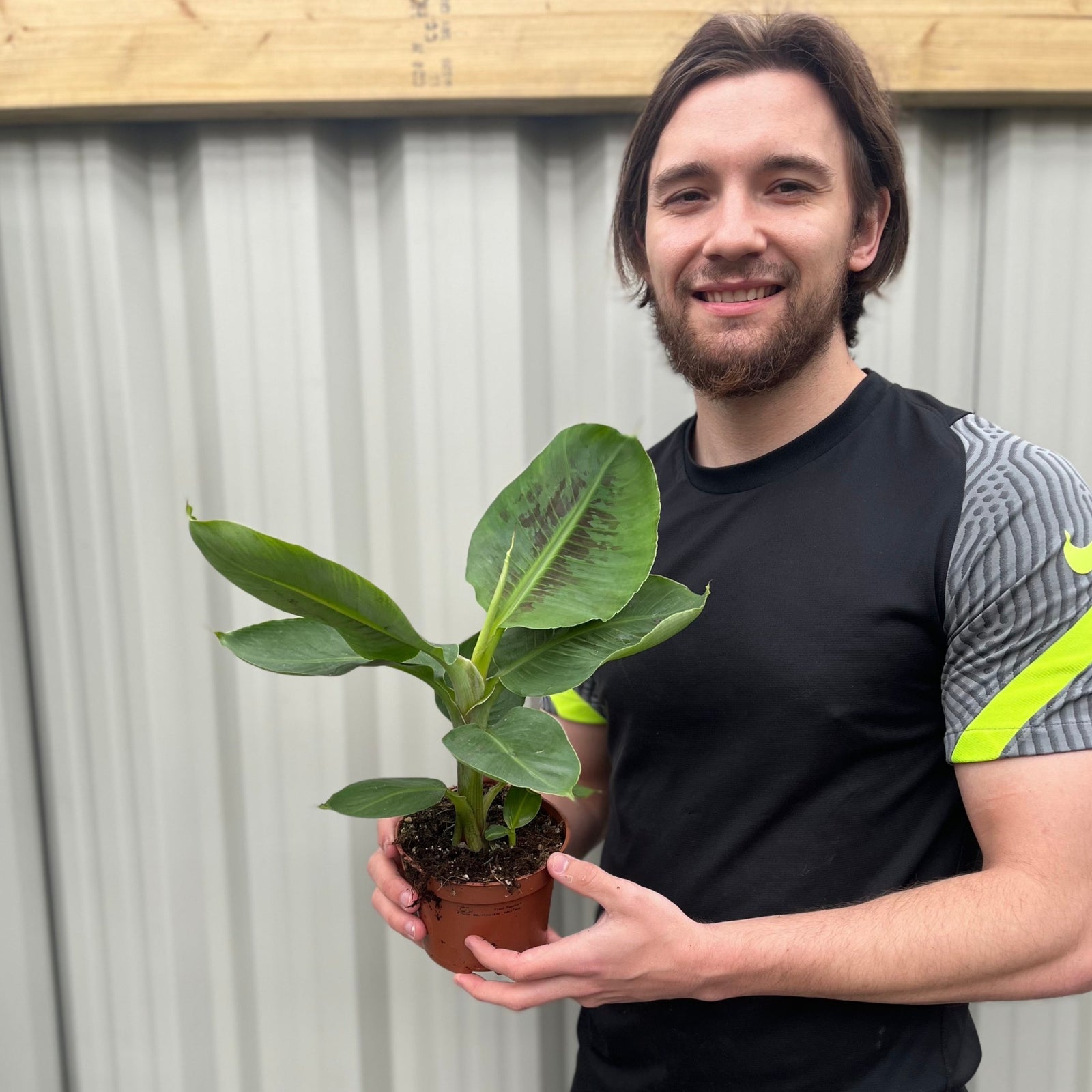 A smiling person with long brown hair and a beard, in a black and gray sports shirt with neon accents, stands outdoors holding a small potted Musa Tropicana (Banana Plant) with broad green leaves. A metal wall and wooden beam are behind.