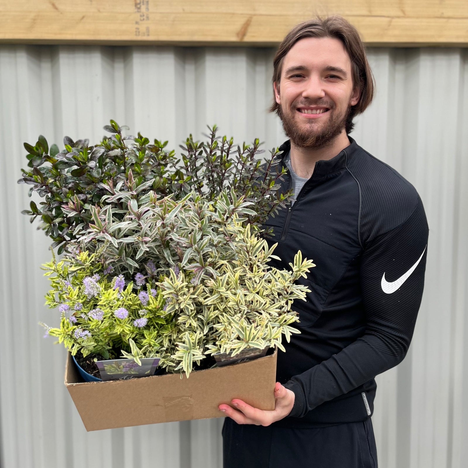 A smiling person with long hair and a beard holds a box of leafy plants and a blue 2L growers pot with a Mix of 3 Hebes, standing in front of a corrugated metal wall.
