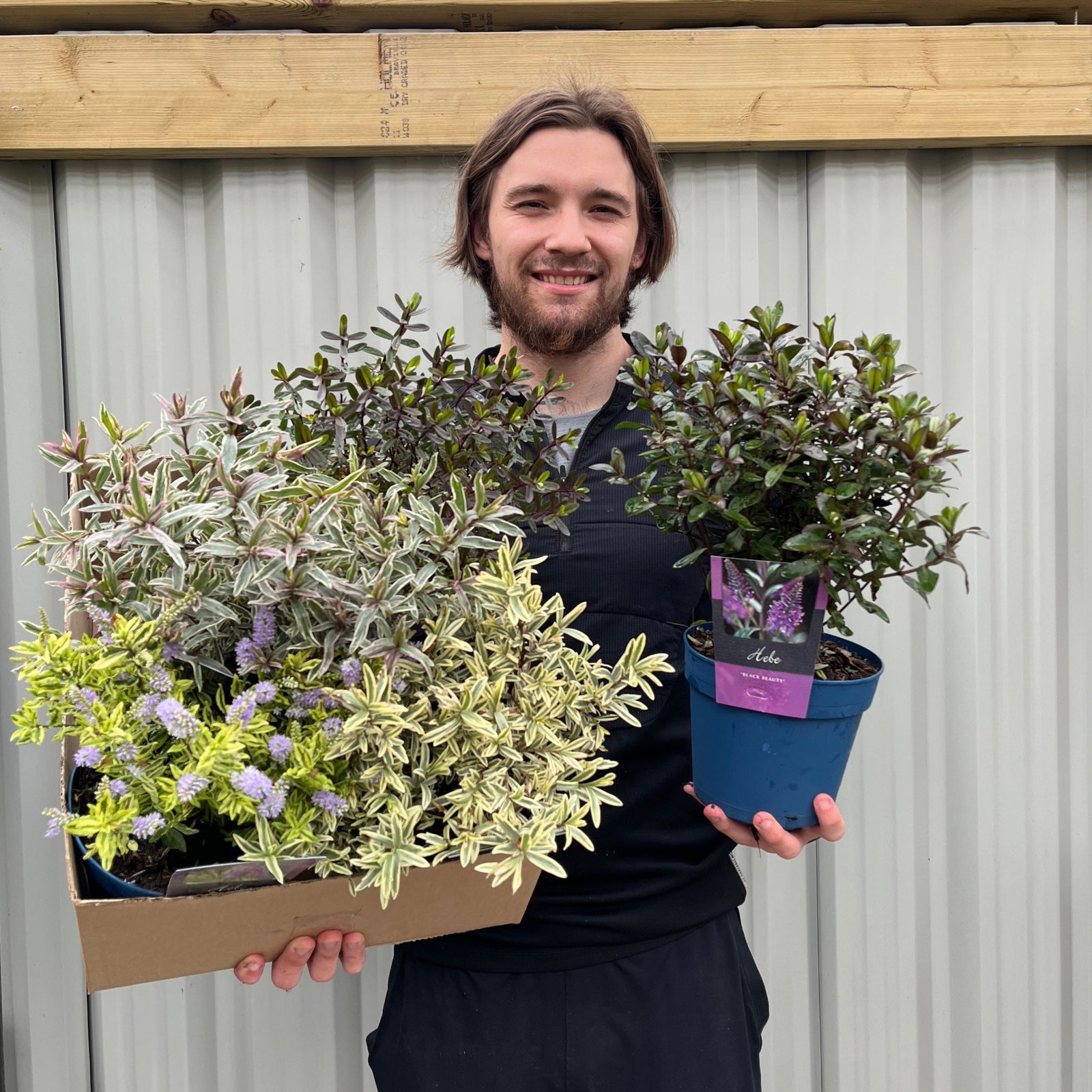 A smiling person with long hair and a beard holds a box of leafy plants and a blue 2L growers pot with a Mix of 3 Hebes, standing in front of a corrugated metal wall.