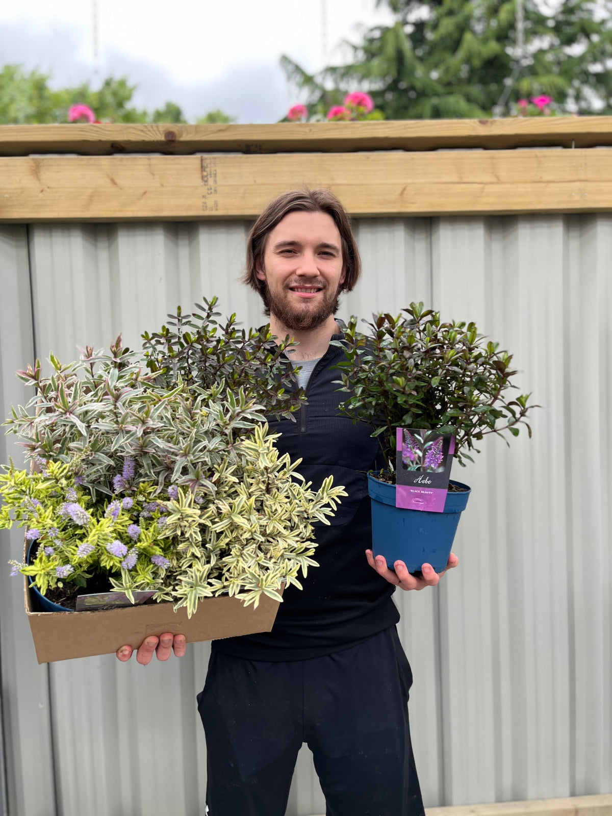 A man with shoulder-length hair and a beard smiles while holding a Mix of 3 Hebes (2L Growers Pots) box in front of a corrugated metal fence.