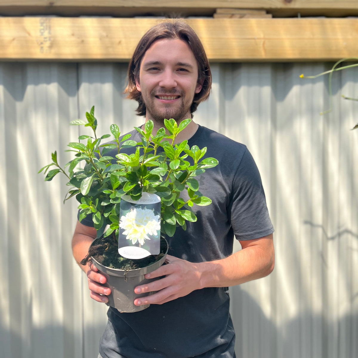 A bearded person with shoulder-length hair and a black t-shirt smiles while holding an Azalea &#39;Schneewittchen&#39; 2L plant, identified by a white flower tag, standing before a corrugated metal fence and wooden beam.