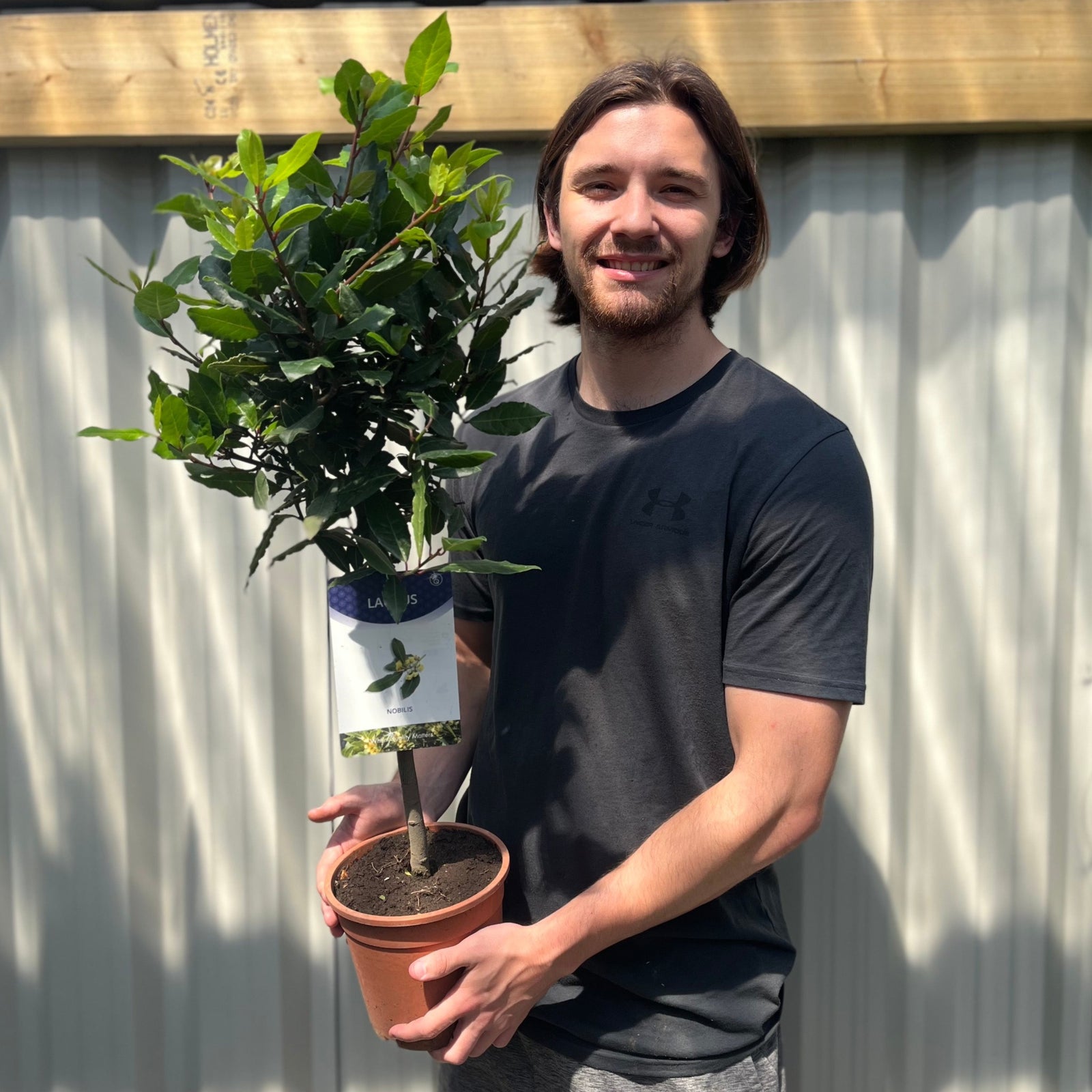 A smiling person with long brown hair in a black t-shirt holds the Standard Bay Tree | Laurus nobilis (70-80cm) outside, standing by a corrugated metal fence and wooden beam.