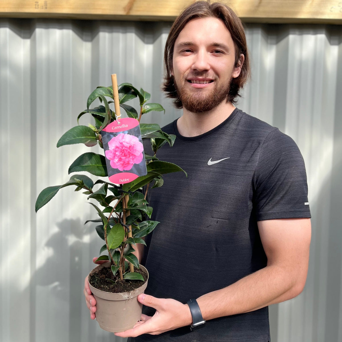 A bearded man with long hair, wearing a black shirt, smiles while holding a Camellia japonica Debbie 9cm / 2L—known for its glossy leaves and winter blooms—in front of a corrugated metal wall.