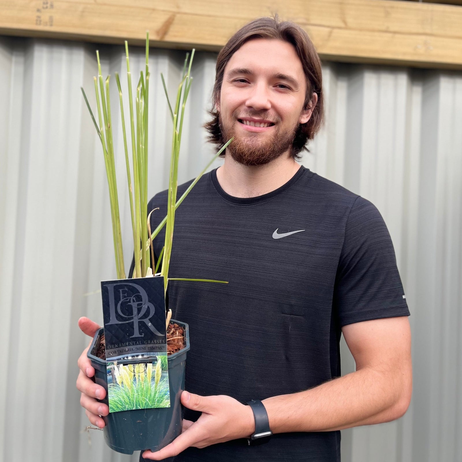 A smiling young man with long hair and a beard, wearing a black Nike t-shirt and fitness tracker, holds a 2L Cortaderia selloana 'Mini Pampas' (Pampas Grass) against a corrugated metal wall.