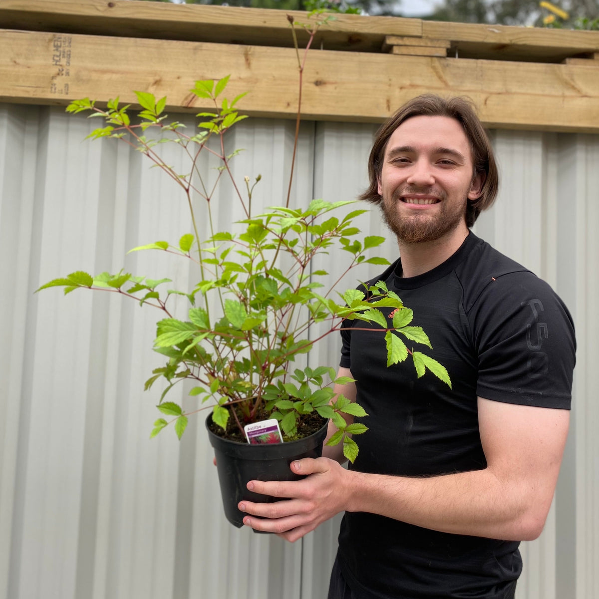 A smiling man in a black shirt holds an Astilbe &#39;Red&#39; 3L, a lush perennial ideal for shade gardens, while standing outdoors in front of a corrugated metal wall and a wooden beam.