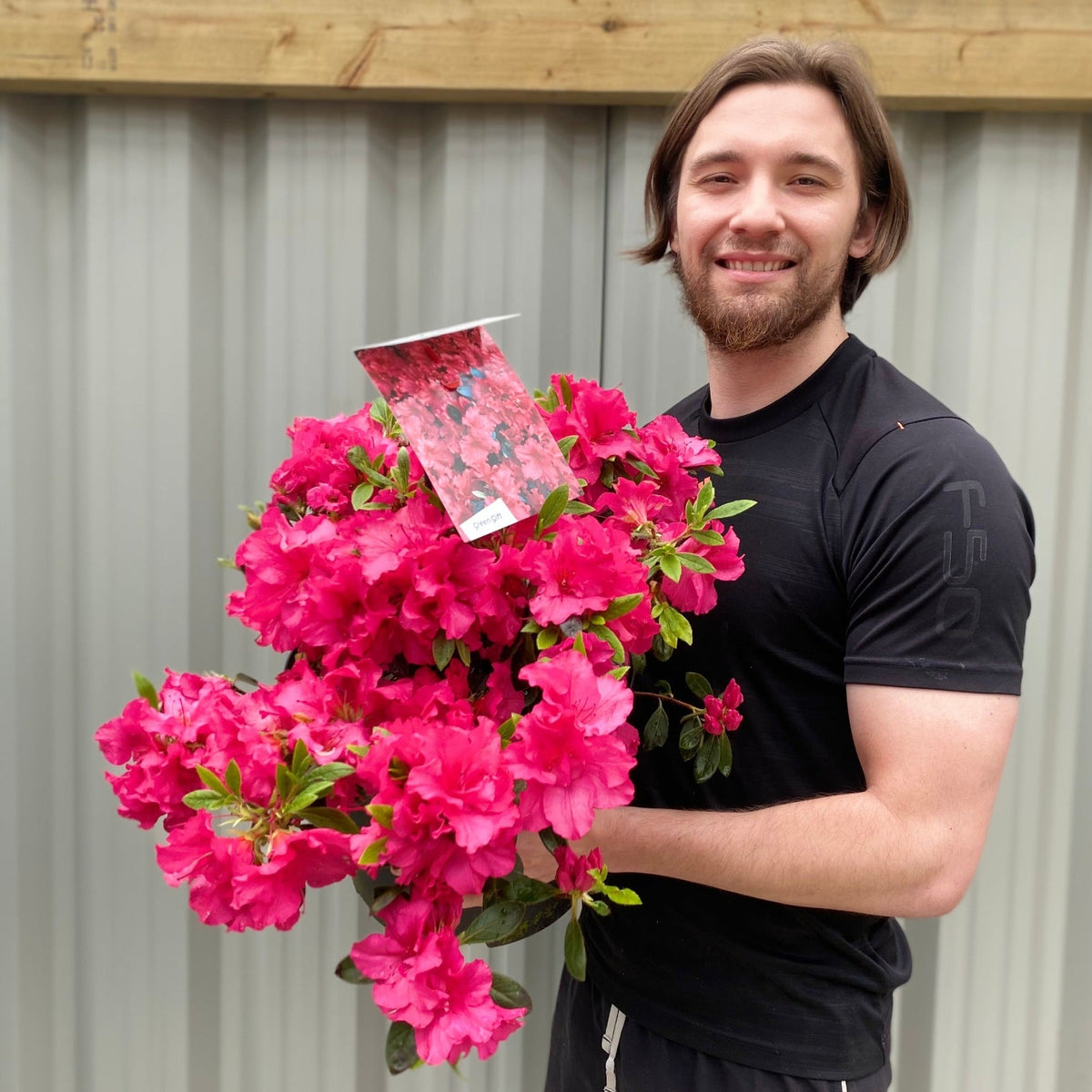 A man holding a bouquet of Azalea &#39;Geisha Red&#39; flowers in a 10L container.