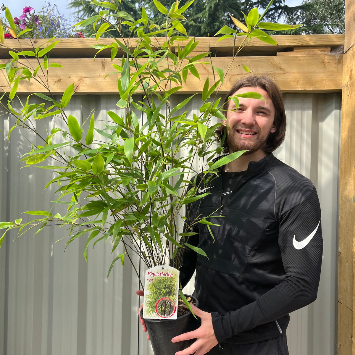 A smiling person in a black athletic shirt holds a potted Phyllostachys nigra | Black Bamboo 80-90cm plant outdoors, standing by a metal fence and wooden pergola. The bamboo’s green leaves and product tag are visible. Multi-Buy Offers available.