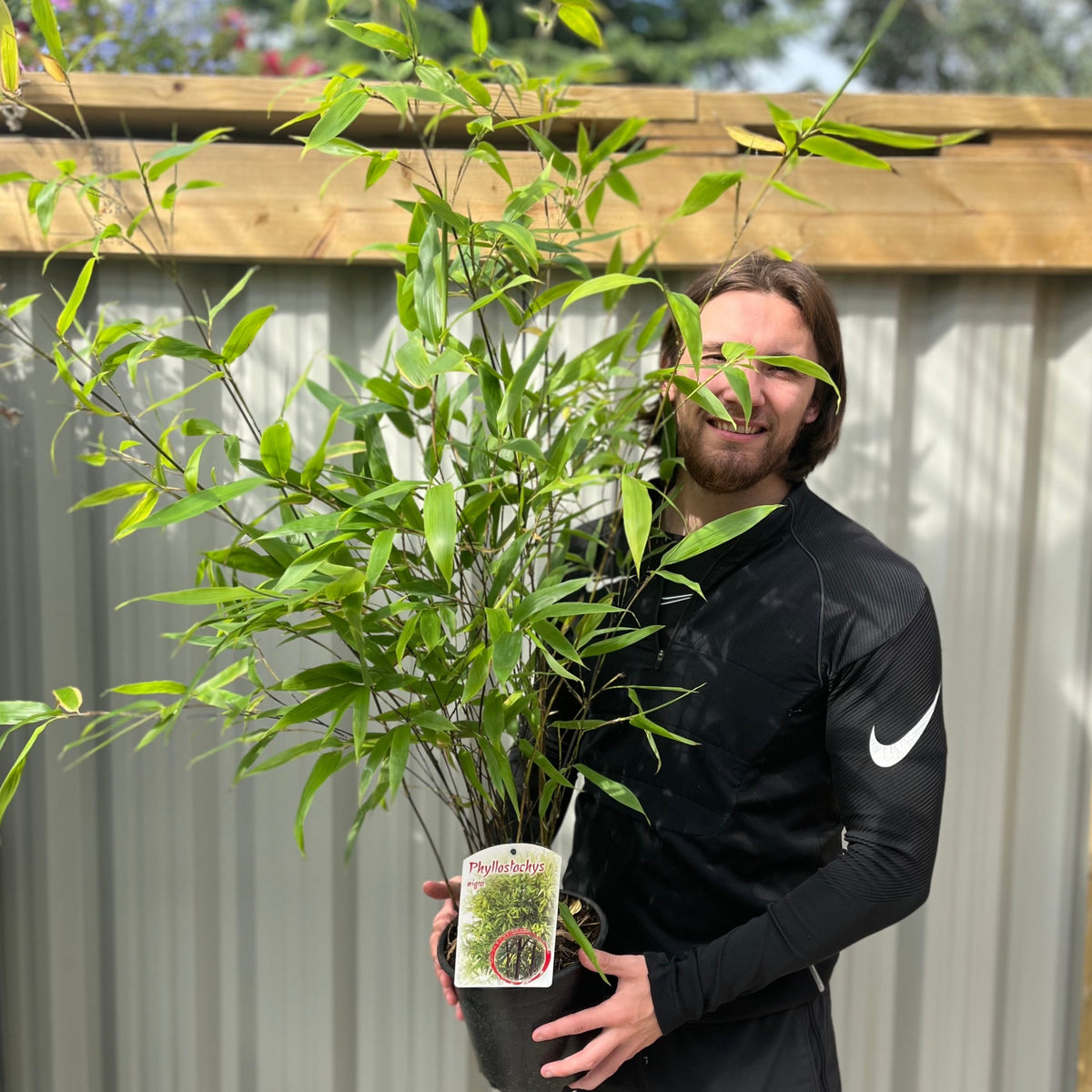 A smiling man with long hair and a beard, wearing a black Nike top, holds a potted Phyllostachys nigra | Black Bamboo 80-90cm (Multi-Buy Offers) in front of a corrugated metal fence and wooden structure outdoors.