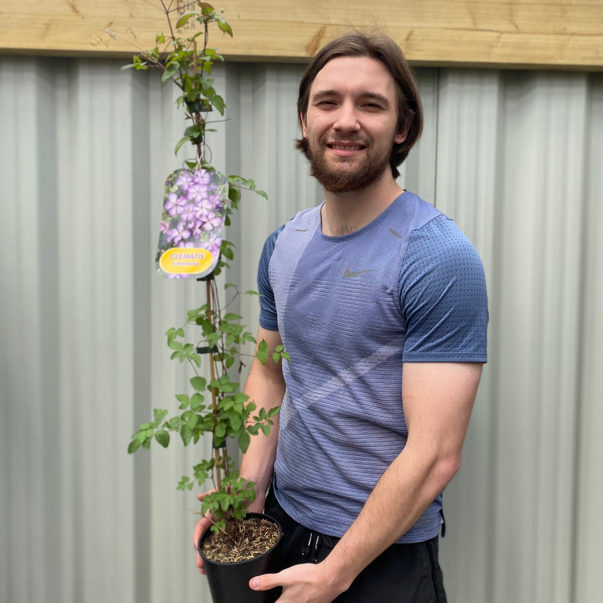 A young man with brown hair and a beard in a blue athletic shirt stands outdoors, holding a Clematis viticella &#39;Super Nova&#39; 90-100cm with purple blooms and white veins, set against a metal fence backdrop.