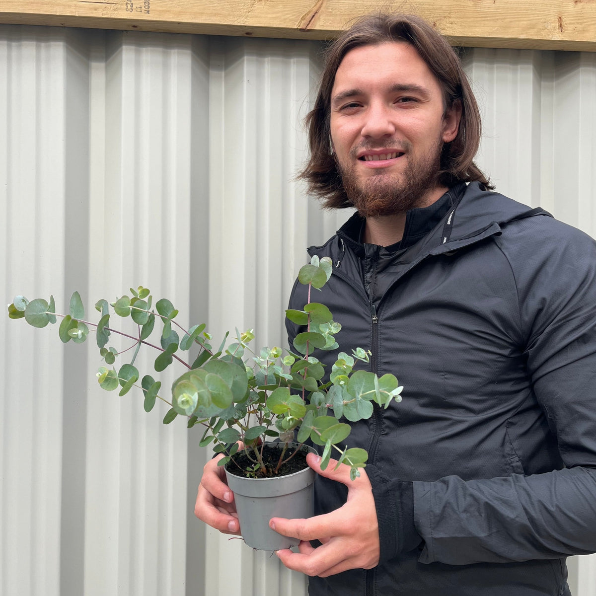 A person with long brown hair and a beard, in a black jacket, stands in front of a corrugated metal wall, smiling and holding a potted Eucalyptus gunnii Louis 9cm-3L with silver-blue foliage.
