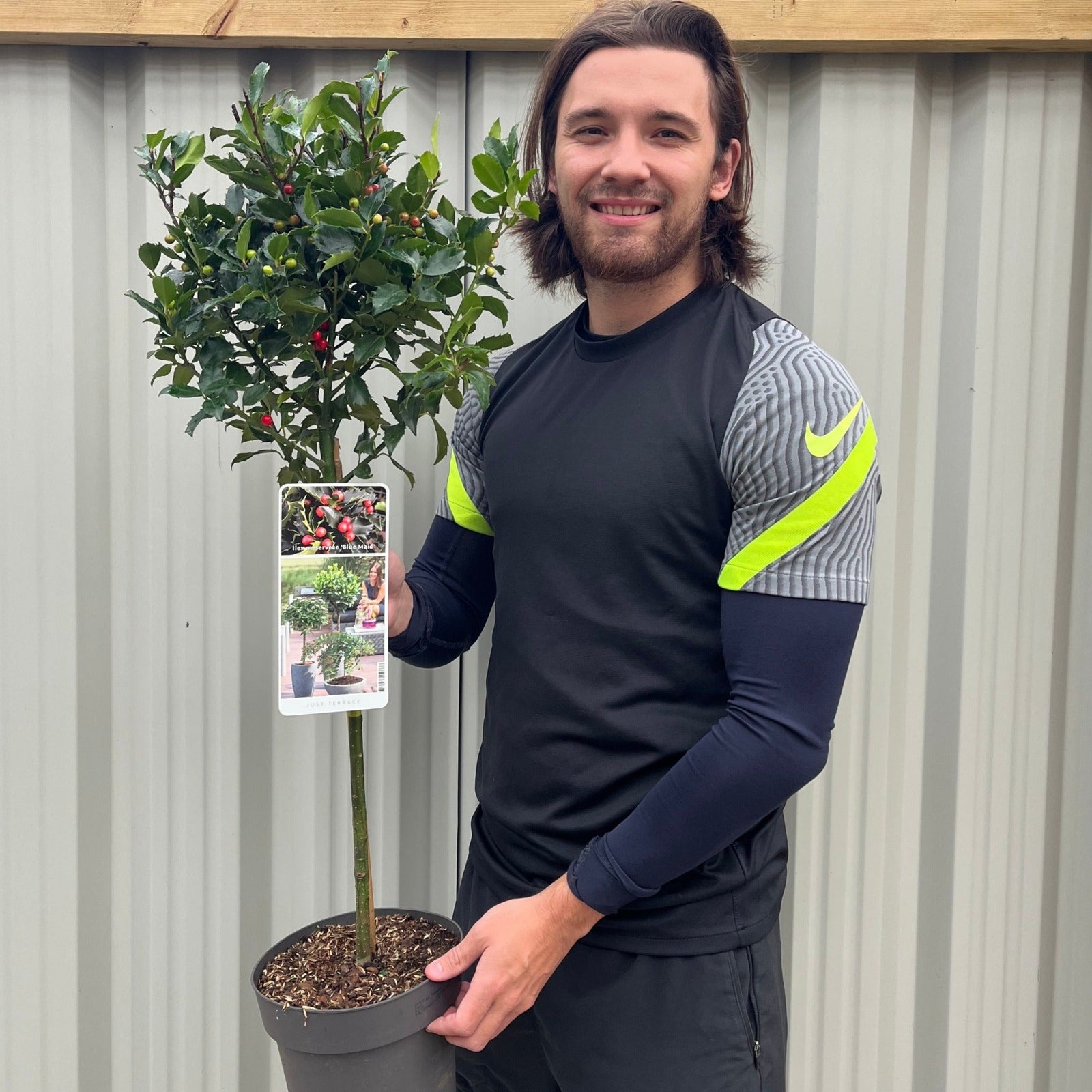A man in black smiles while holding a Standard Holly Tree (Ilex meserveae 'Blue Maid', 50-60cm, 80-90cm) in front of metal racks filled with evergreen holly and other green plants.