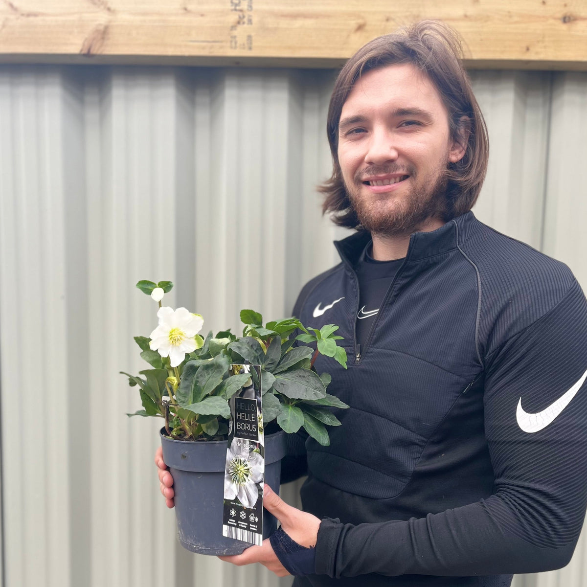 A man with long brown hair and a beard, in a black Nike jacket, smiles holding a potted Helleborus niger &#39;Christmas Carol&#39; (Christmas Rose | Hellebore, 9cm-2L available) in front of a corrugated metal wall.