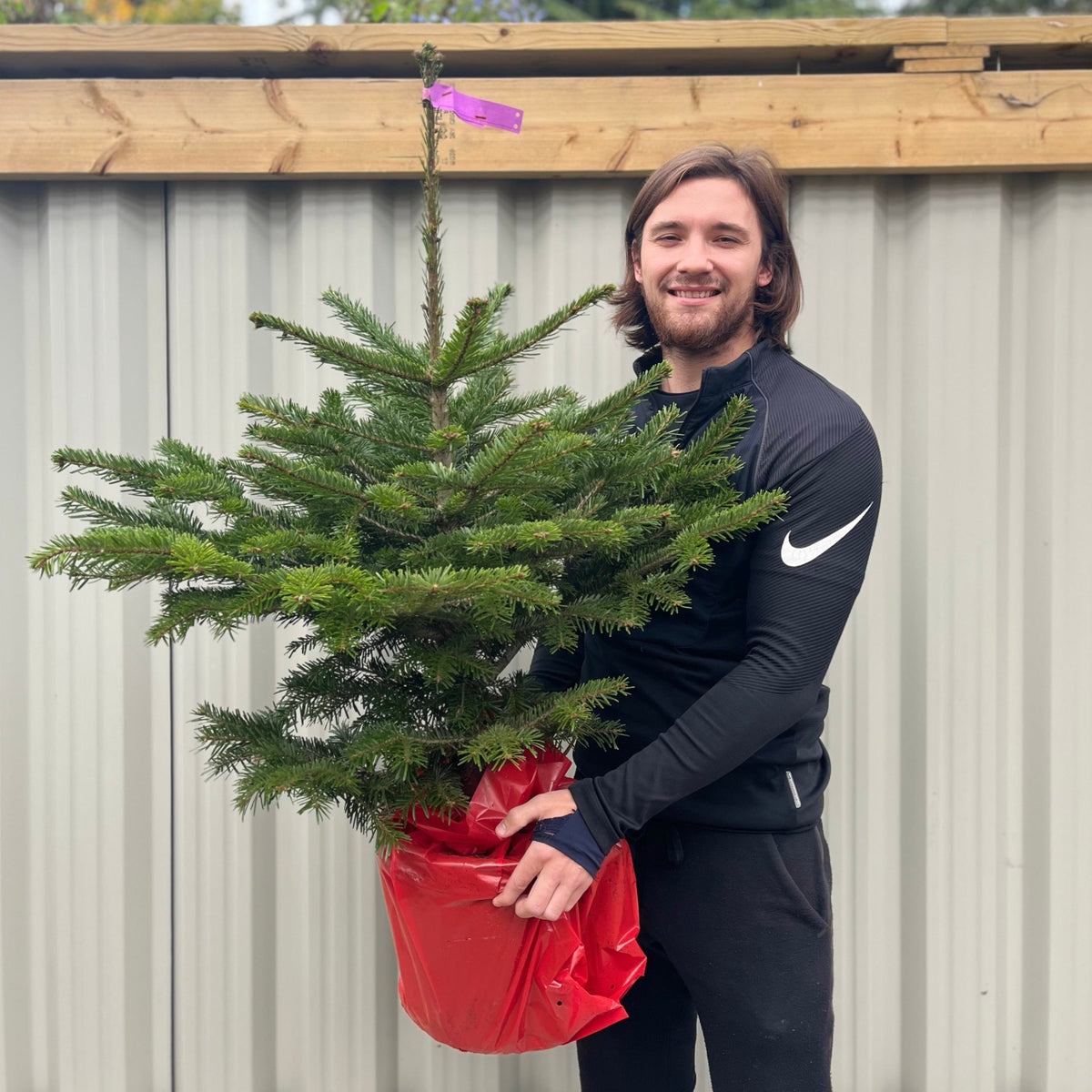 A smiling person with long hair and a beard holds a Nordmann Fir Pot Grown Christmas Tree (100-120cm) wrapped in red plastic, with a corrugated metal fence and wooden beam in the background.
