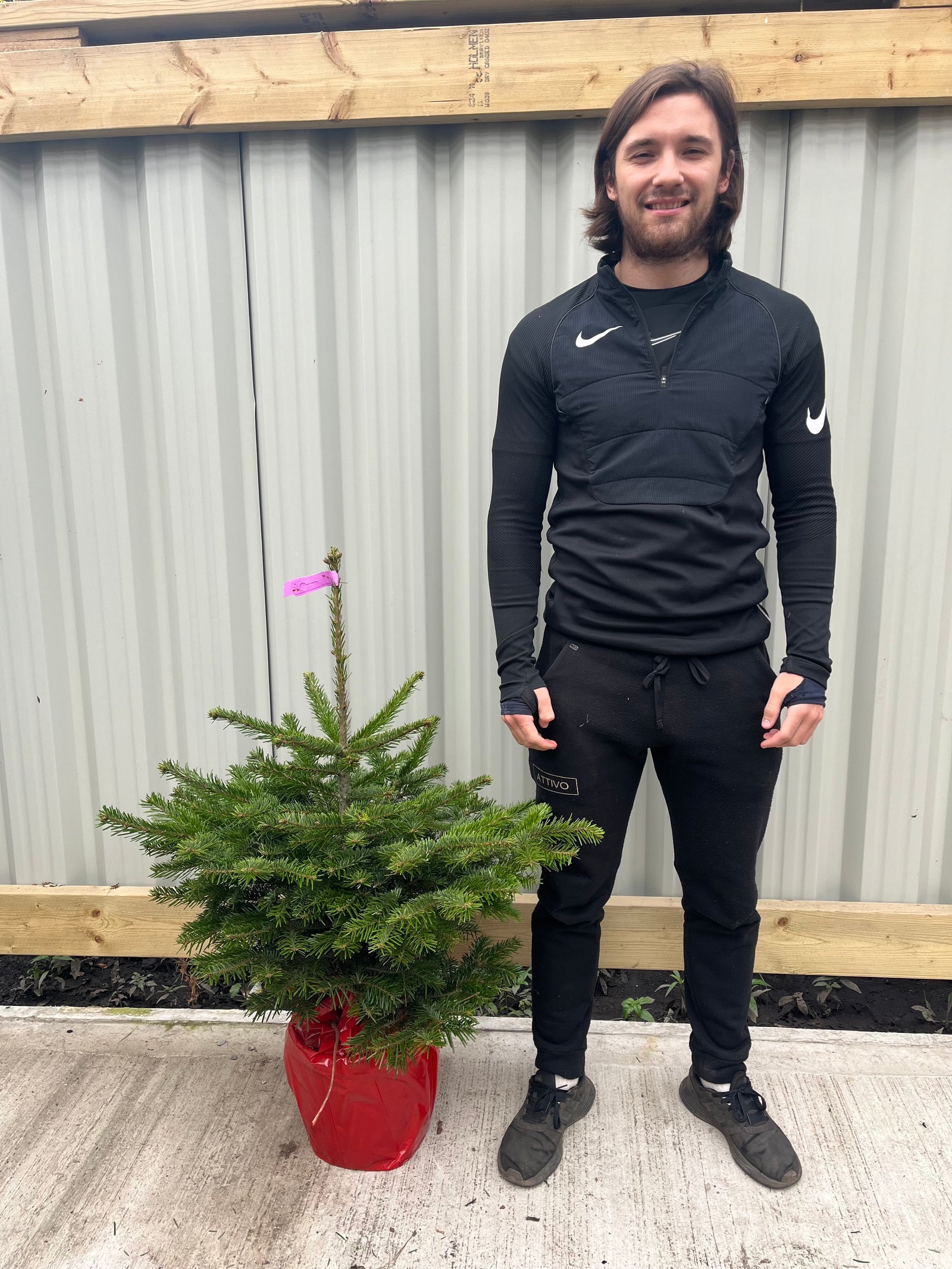 A smiling man in black sportswear holds a Nordmann Fir Pot Grown Christmas Tree (100-120cm), wrapped in red foil, standing before a corrugated metal fence and wooden beam.