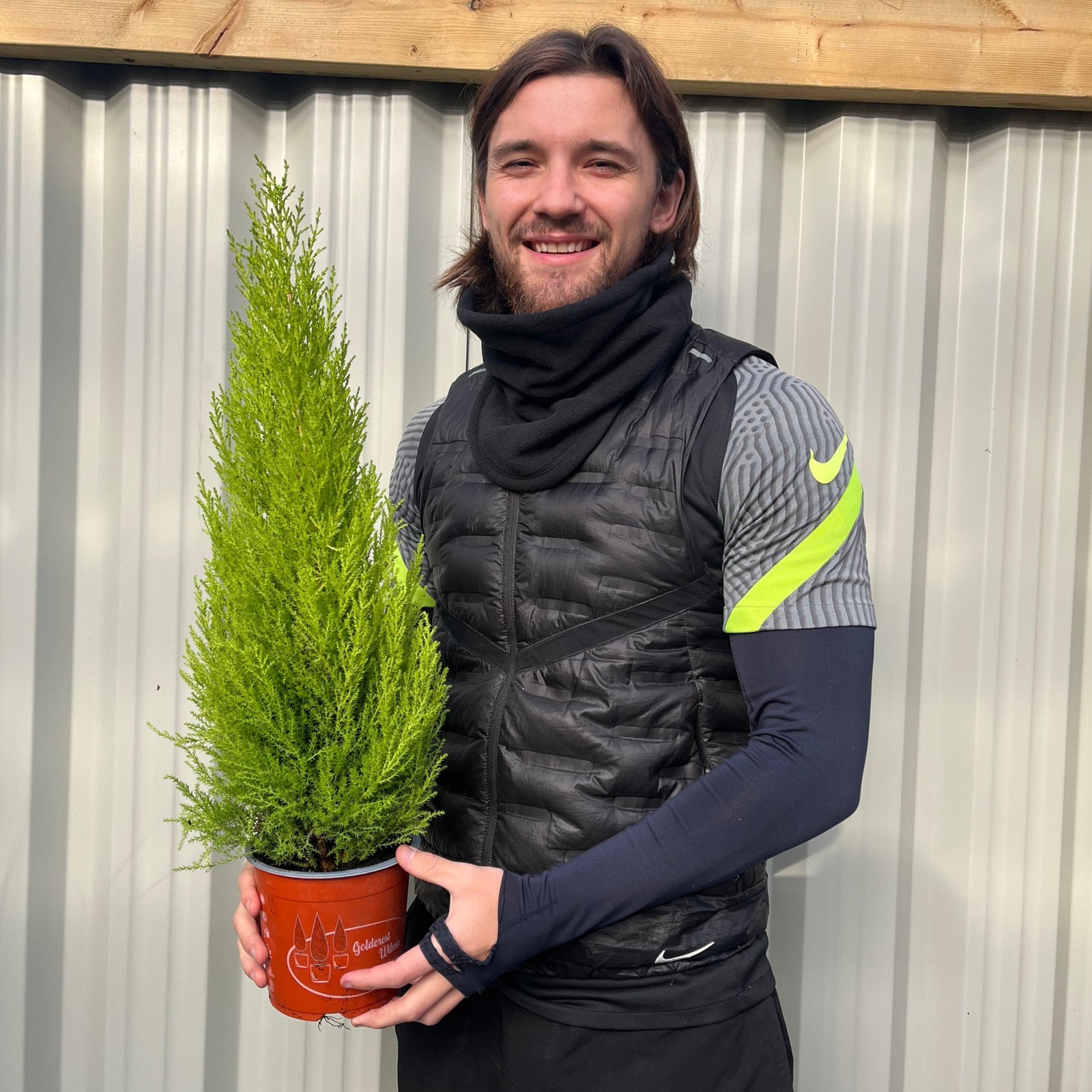 A smiling person with long hair holds a Goldcrest Conifer 'Wilma' (available in 4 sizes). They wear a black vest over a gray and neon sports shirt, standing before a corrugated metal wall and wooden beam.