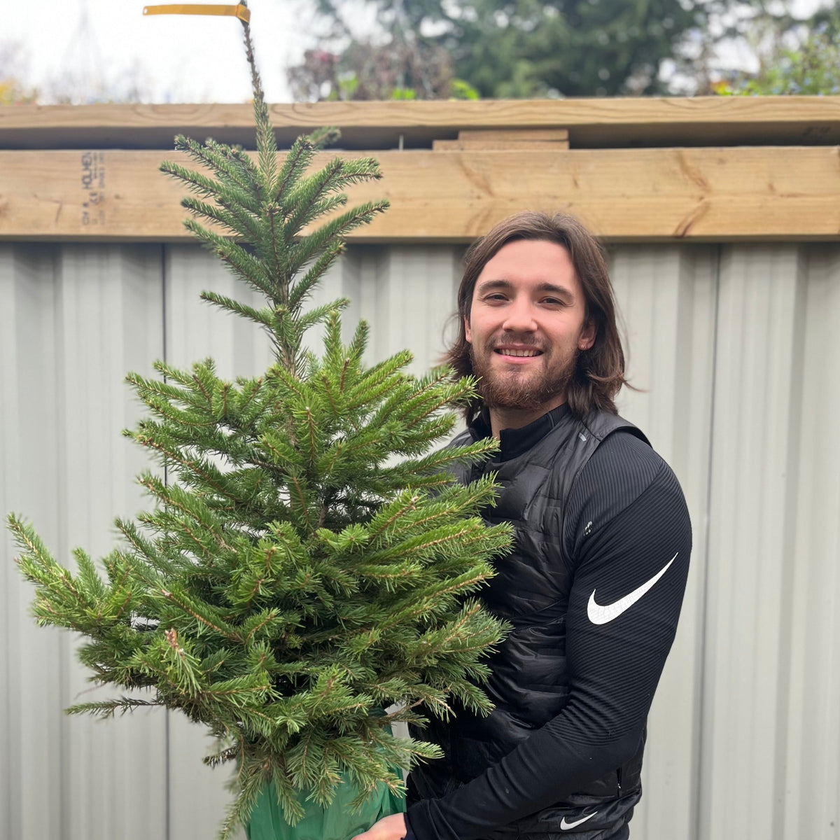 A man with long brown hair, wearing a black Nike long-sleeve shirt, stands outdoors and smiles while holding a Potted Real Christmas Tree (Picea pungens &#39;glauca&#39;, 80-100cm) in a green pot. A wooden structure and corrugated metal fence are behind him.