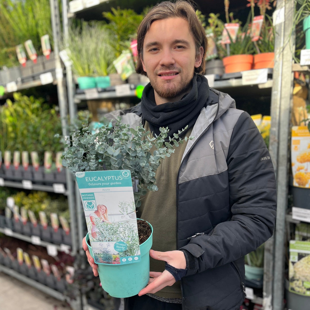 A young man in a black and gray jacket smiles while holding a Eucalyptus gunnii Azura (2L Pot), its silver-blue leaves contrasting with lush evergreen shrubs at a vibrant garden center.