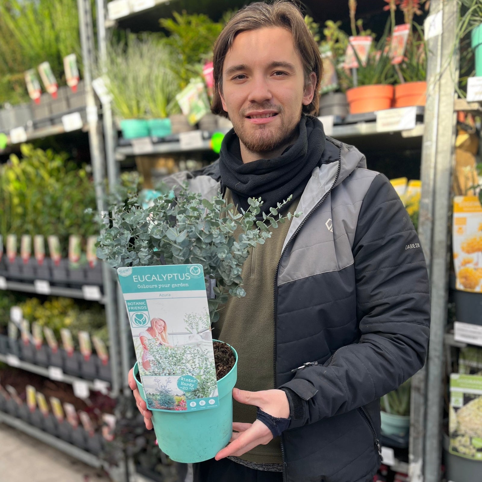 A person in a jacket and scarf smiles while holding a Eucalyptus gunnii Azura (2L Pot) at a garden center, surrounded by shelves of silver-blue foliage plants.