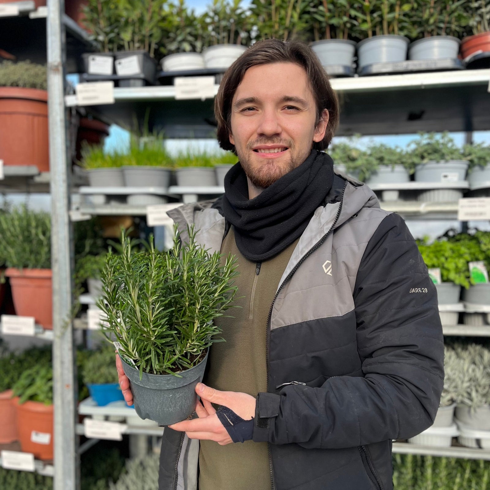 A man with brown hair and a beard smiles while holding a Rosemary officinalis (8cm/1.5L) in a garden center, surrounded by shelves of potted plants and blooming pink flowers.