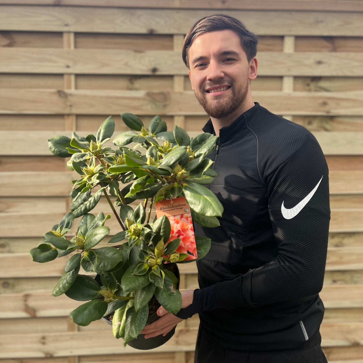 A smiling man in a black Nike jacket holds a Rhododendron &#39;Tortoischell Orange&#39; 5L with broad green leaves and a tag, standing by a wooden fence in bright outdoor light.